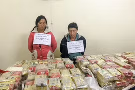 奠边省公安破获有史以来的最大毒品案 缴获489块海洛因