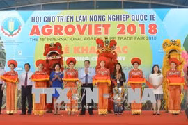第18届越南国际农业展在岘港拉开序幕