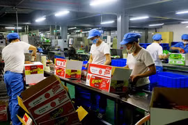 富寿省发挥优势 大力发展工业生产