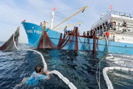 解除IUU黄牌警告：永久性撤销侵犯国外海域越南渔船的营业执照