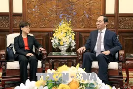 国家主席陈大光会见新加坡和埃及驻越大使