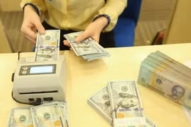 11月5日越盾兑美元汇率略减 英镑汇率猛增