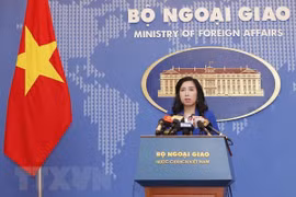 越南外交部发言人：要求中国尊重越南对黄沙和长沙两个群岛的主权