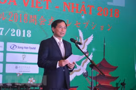 2018年越日文化交流活动在岘港市正式开幕