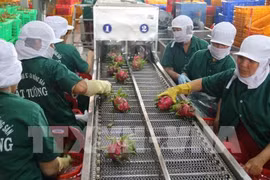前江省出口额大幅增长