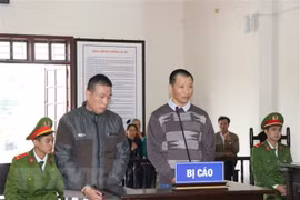 和平省人民法院以“非法贩卖和运输毒品”罪对两名被告人进行判处