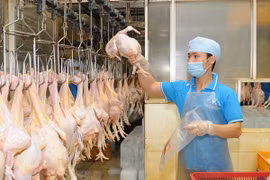 越南畜牧业应致力于扩大销售市场