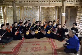 高平省岱依族的丁琴制作技术
