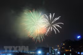 胡志明市举行多项活动庆祝南方解放日43周年