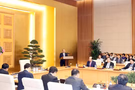 越南政府承诺为海外越侨知识分子参与国内科技发展创造便利条件