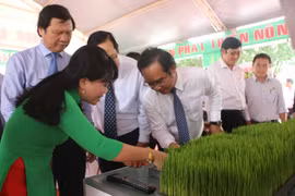 第一届九龙江三角洲水稻节在隆安省举行