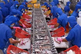 VASEP：越南应加强对出口到中国的查鱼产品质量的监管