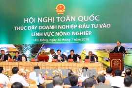 政府总理阮春福：力争未来10年把越南跻身世界15大农业最发达的国家行列