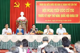 越南国会主席阮氏金银接待芹苴市宁侨区选民