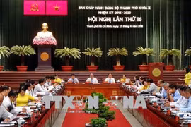 越南共产党胡志明市第十届委员会第十六次会议召开