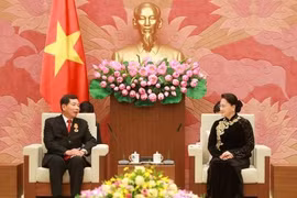 越南国会主席阮氏金银会见老挝最高人民法院院长坎潘·西提丹帕。（图片来源：越通社）