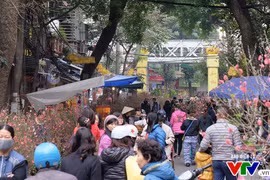 河内将举办63个迎新春鲜花集市