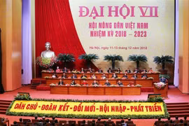 第七届越南农民协会全国代表大会隆重开幕