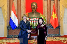 越南国家代主席邓氏玉盛接受三国新任驻越大使递交国书