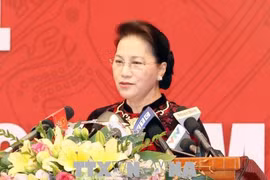 越南国会主席阮氏金银: 确保审计执法监督权力公开、规范、透明运行