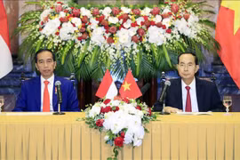 印尼总统佐科·维多多访越引印尼媒体积极关注
