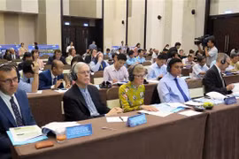 越南与美国配合对岘港市机场区域迪奥辛污染的土地进行清除