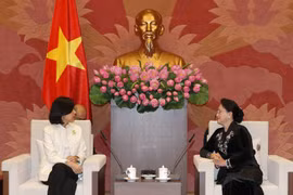 越南国会主席阮氏金银会见加拿大驻越大使平·基特尼克尼