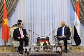 越南国家主席陈大光会见埃及议会议长