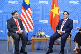 政府总理范明政会见马来西亚经济部长拉菲兹·南利。图自越通社