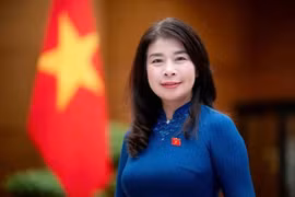 国会对外委员会副主任黎秋河。图片来源：越南国会电子门户网站