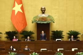 国会主席陈青敏主持开幕会并致辞。图自越通社