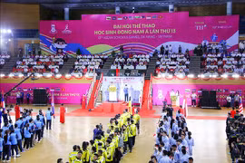6月1日晚，第十三届东南亚学生运动会开幕式现场。图自越通社