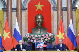 越南国家主席苏林与俄罗斯总统普京共同会见记者。图自越通社