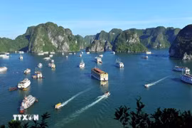 下龙湾上的游船。图自越通社