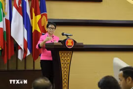 印度尼西亚外长雷特诺·马尔苏迪（Retno Marsudi）在东盟一个会议上发表讲话。图自越通社