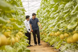 服务清真市场的一切原材料需按照伊斯兰教规定取自合法来源。图自越通社