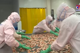 越南主力商品出口提速 全国出口总额超3120亿美元