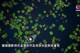 越南莲花池划船照片荣获2021年度大自然摄影大赛奖项