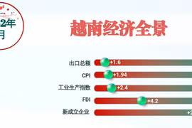 互动图表：2022年1月越南经济全景