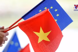 越南企业努力充分利用EVFTA带来的机会
