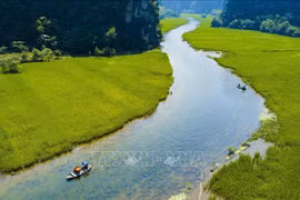 组图：宁平省三谷稻田收割季节的美丽景色