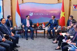 越南政府总理范明政同印尼总统佐科·维多多举行会晤