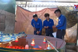广治省共青团与青年团员携手并肩推动经济社会发展