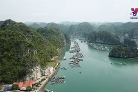 2023年旅游旺季海防打造众多新品吸引游客