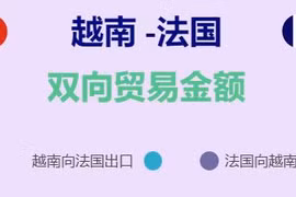 互动图表：越南与法国贸易合作发展势头良好