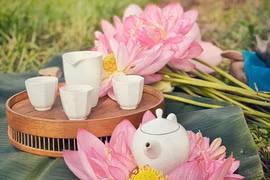 组图：五月初夏莲花盛开 边赏花边品茶享受宁静生活