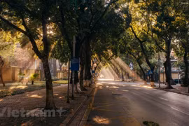 组图：入秋看首都河内最美街道