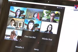 东盟学者：越南有效发挥东盟轮值主席作用