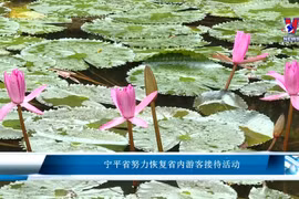 宁平省努力恢复省内游客接待活动