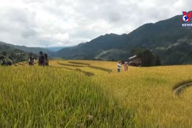 越南安沛省木江界县的旅游业已喜见起色